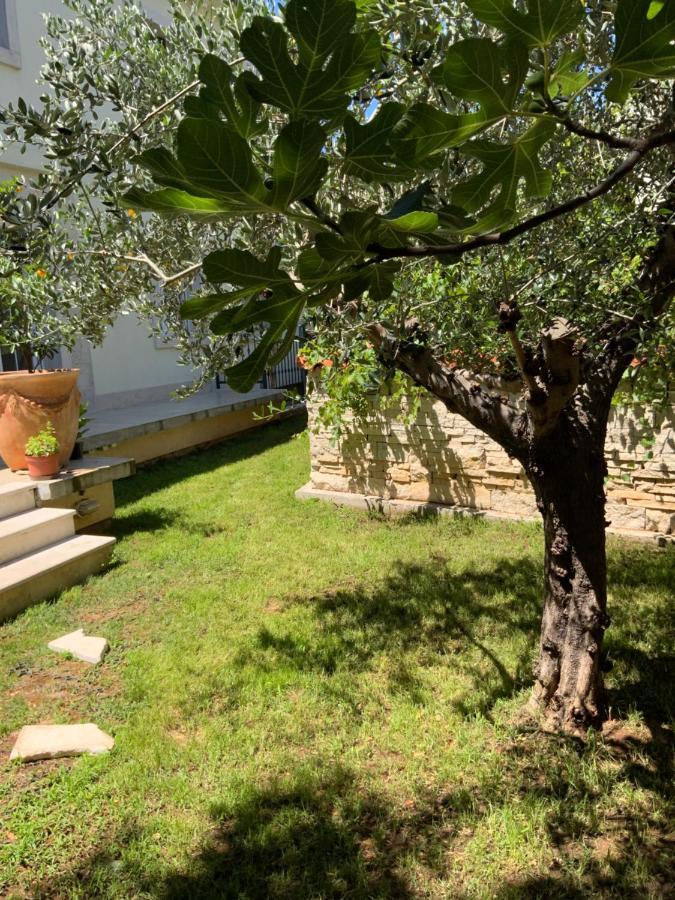 Apartment Provance Пула Екстериор снимка